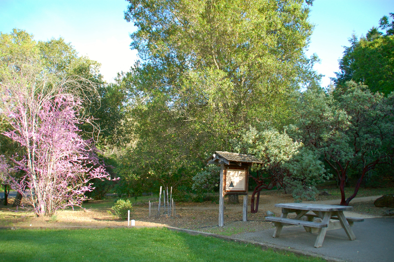 Bothe-Napa Valley Native Garden
